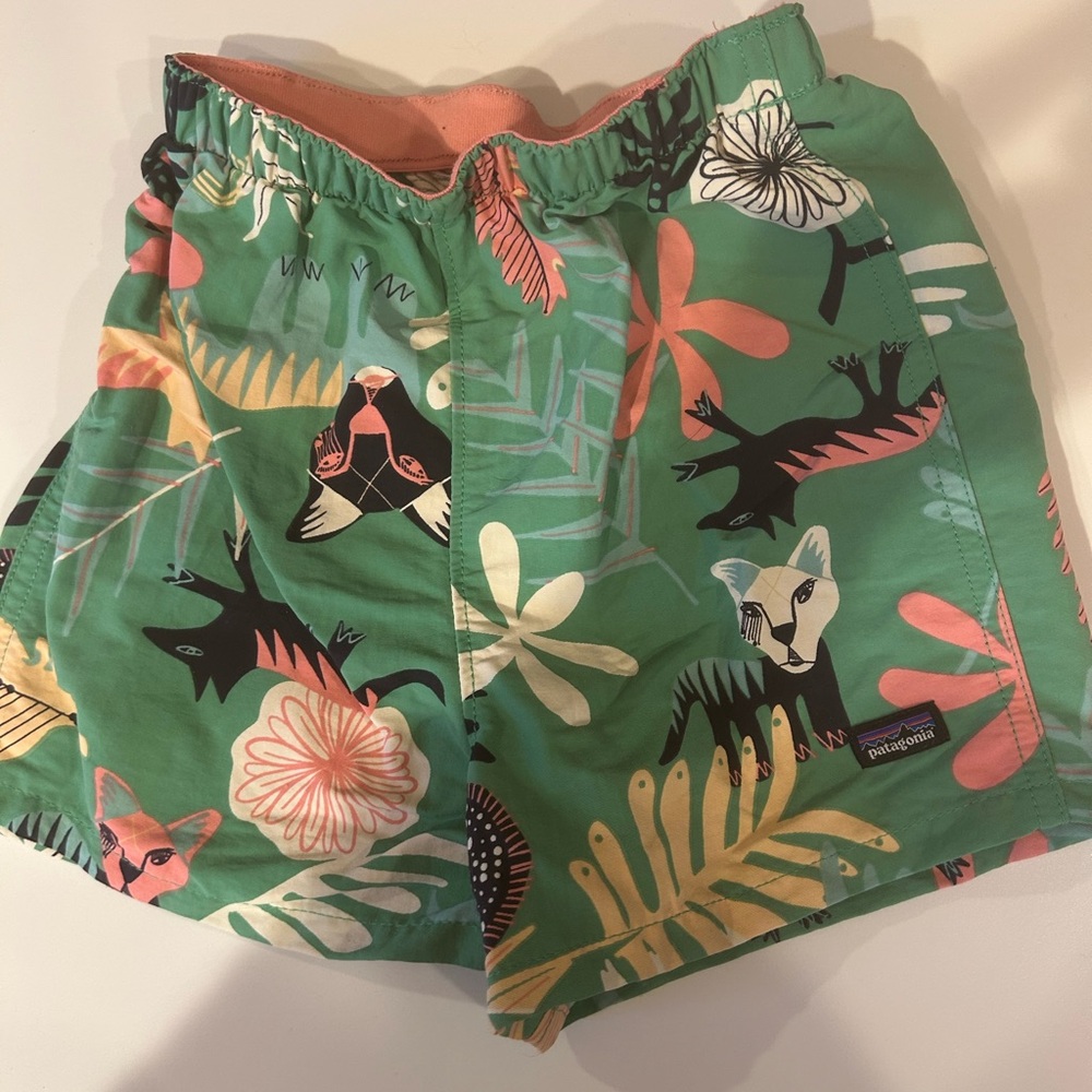 Patagonia Green Patterned Shorts
